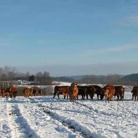 Prázdninový dům Bohemian Forest