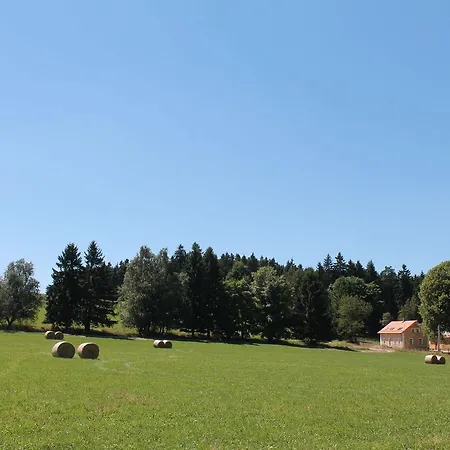 Bohemian Forest